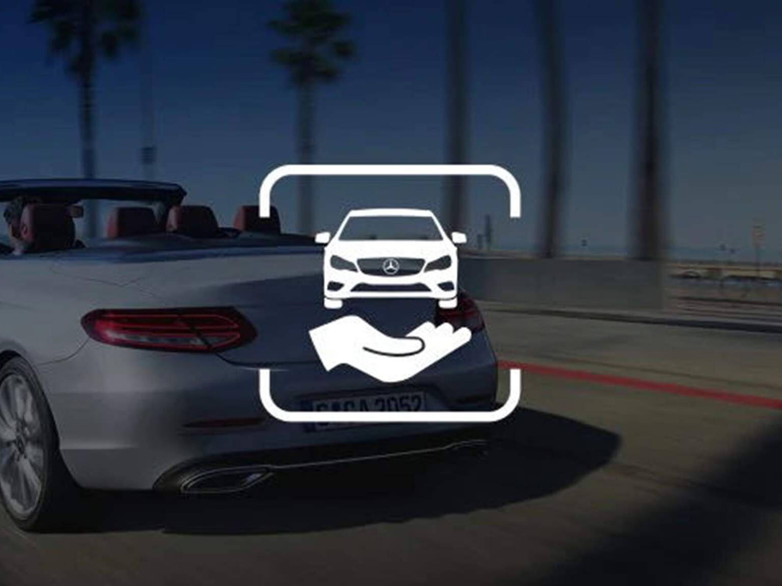 Garantía de movilidad de 12 meses