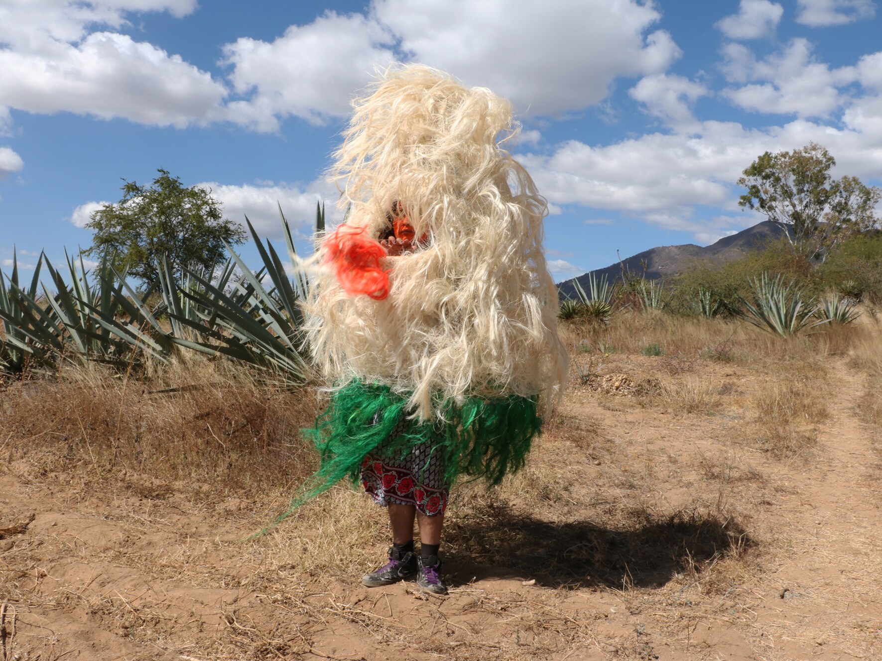 Be-Longing | Art Collection