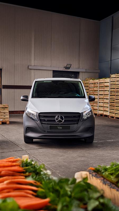 Vito Cargo Van